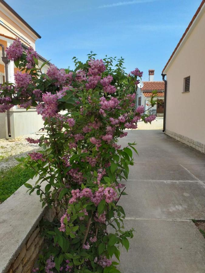 House Ulika Apartment *