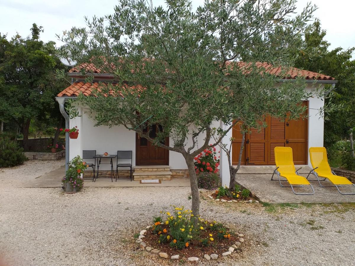 House Ulika Bale